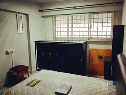 Blk 293 Tampines Street 22 (Tampines), HDB 3 Rooms #575897931